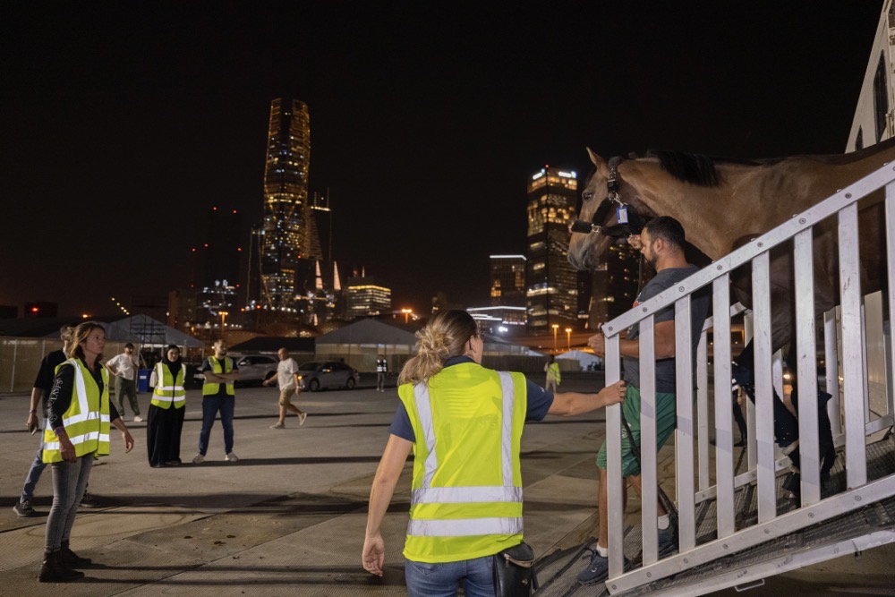 The horses arrived from Belgium. (Supplied)