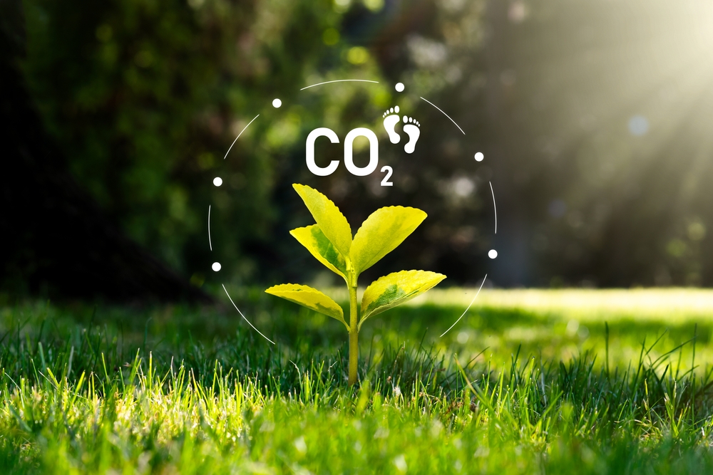 GCC sustainable cultural assets could cut 1.3m tons of CO2: report