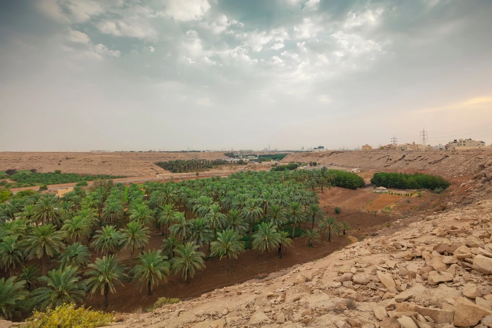 Food security across the Muslim world is a matter of concern. Shutterstock.