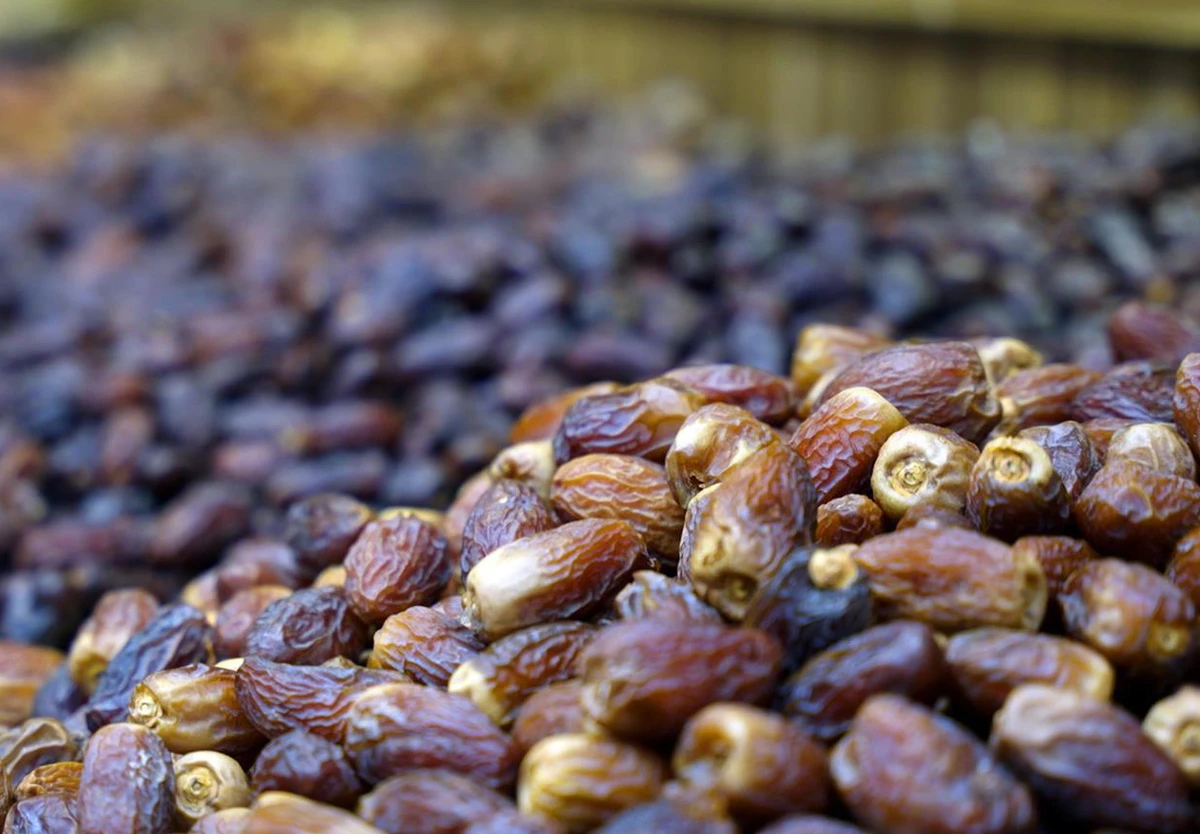 The season features experts and prominent farmers showcasing date varieties and highlighting the economic significance of the industry (SPA)