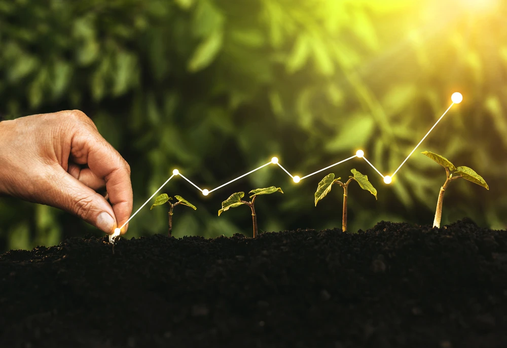 The claims came in a report from Century International Holdings Ltd. Shutterstock.