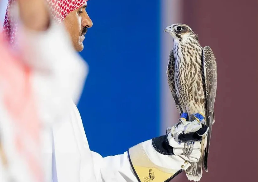 During the club’s first auction, in 2020, 102 falcons were sold over 20 days (SPA)