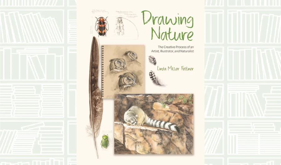 What We Are Reading Today: Drawing Nature