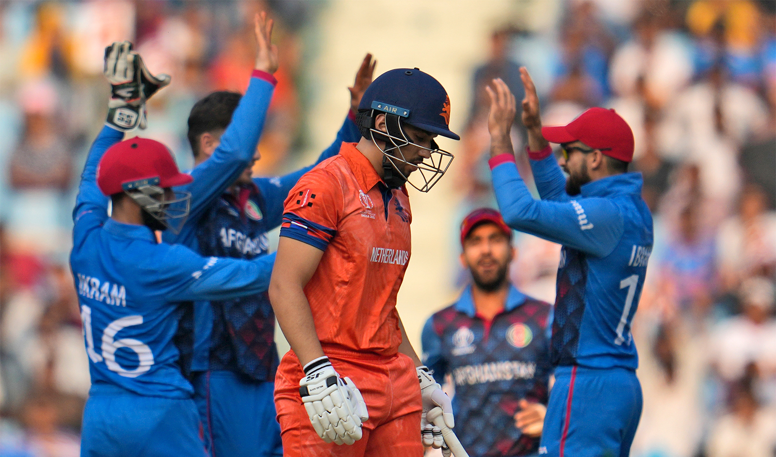 Afghanistan players celebrates the wicket of Netherlands' Saqib Zulfiqar during the ICC Men's Cricket World Cup match between Afghanistan and Netherlands in Lucknow, India, on November 3, 2023. (AP)