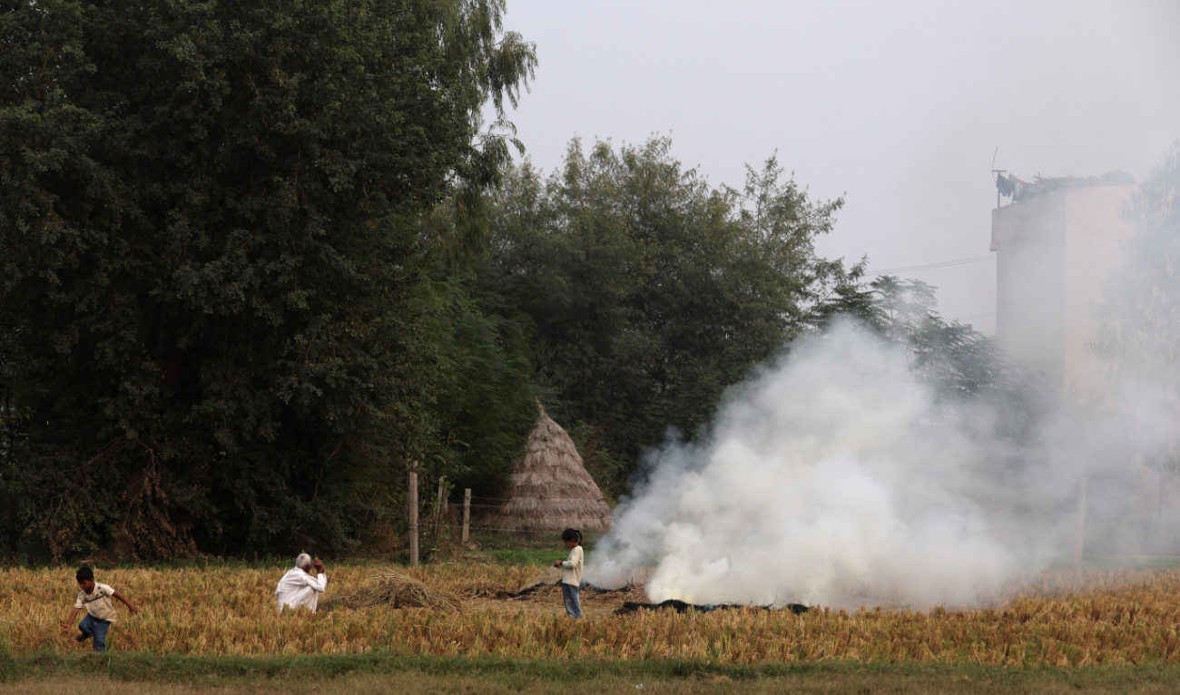 A farmer burns the stubble in a crop field in a village in Karnal district in the northern state of Haryana, India, on Saturday. (Reuters)