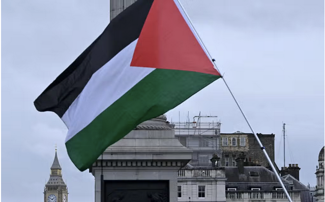 Pro-Palestinian supporters staged a large demonstration outside Parliament as the evening’s vote was taking place. (File/AFP)