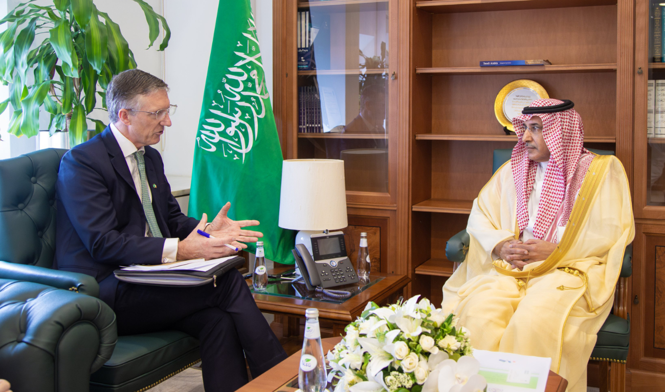 The two sides discussed bilateral relations and developments of common concern. (MOFA)