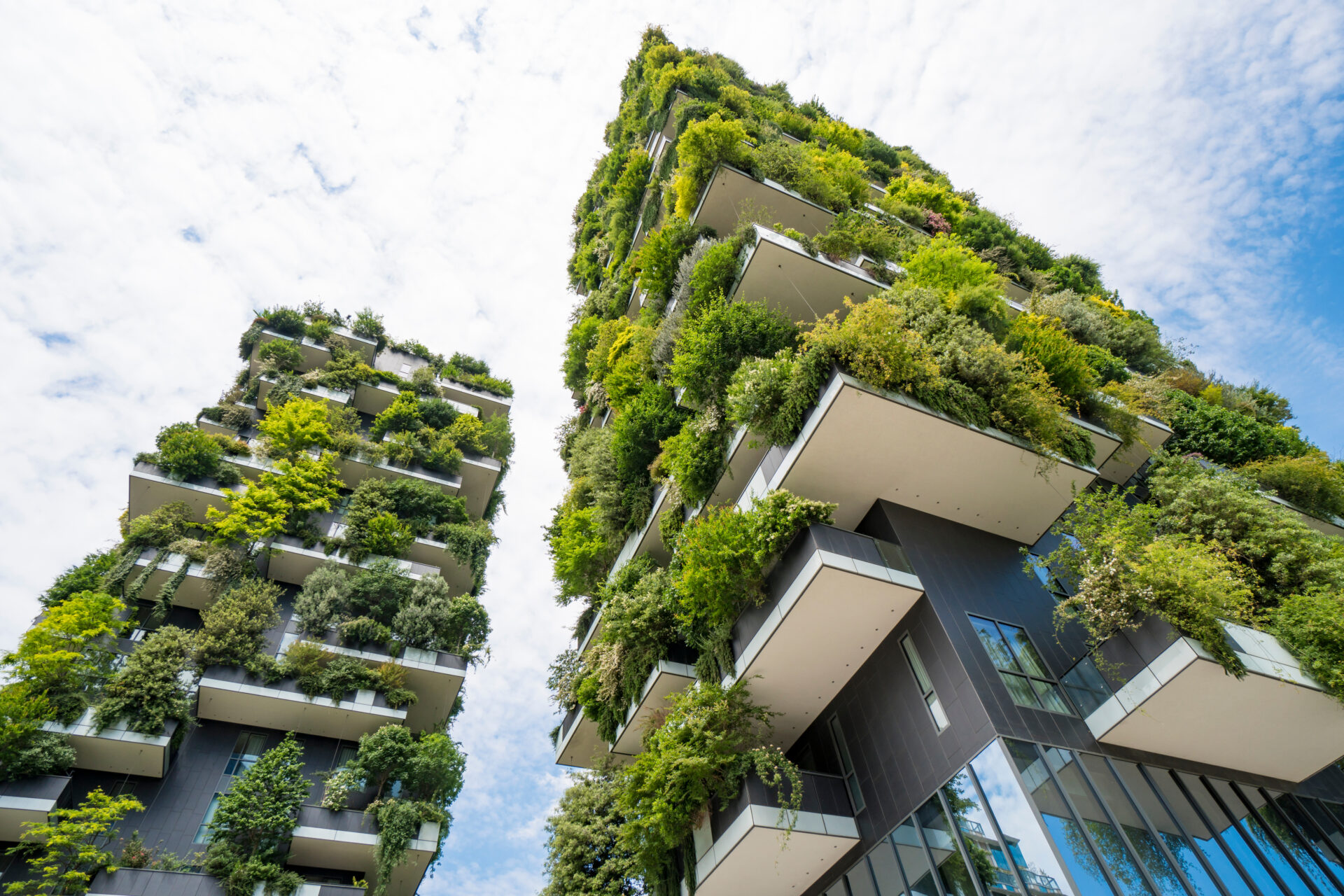 The nongovernmental institution, accredited by the UNFCCC, aims to enhance national gains in the field of combating climate change within international cooperation. File
