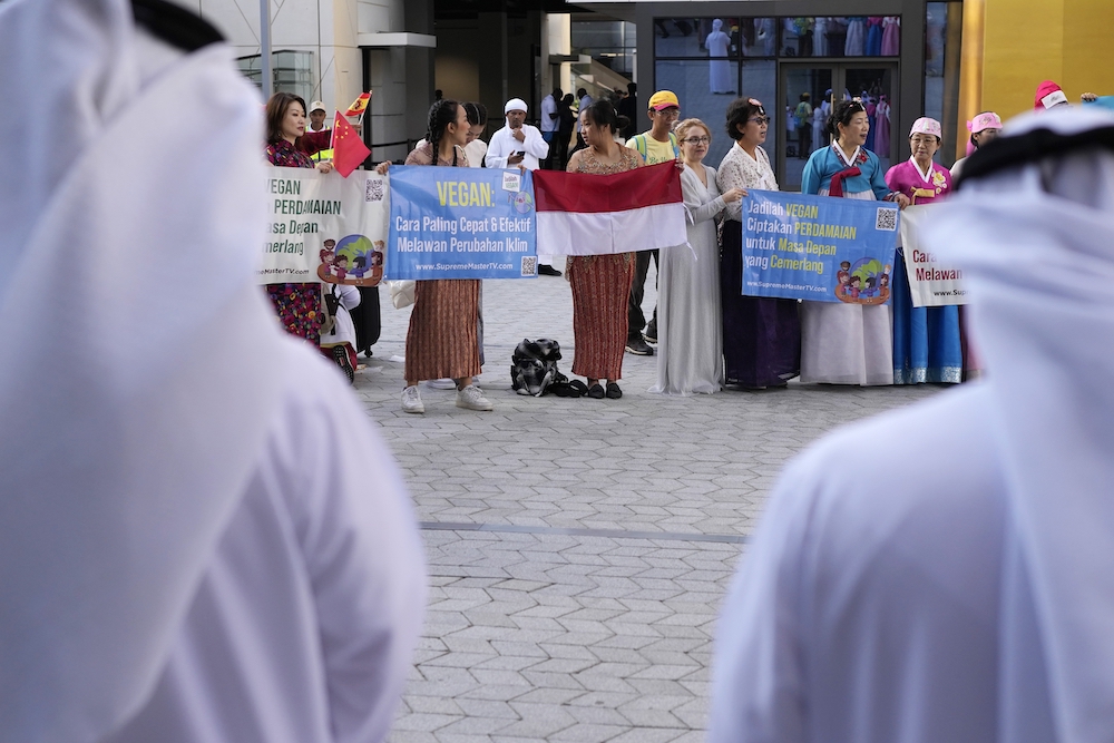 People demonstrate at the COP28 UN Climate Summit on Nov. 30, 2023 in Dubai. (AP)