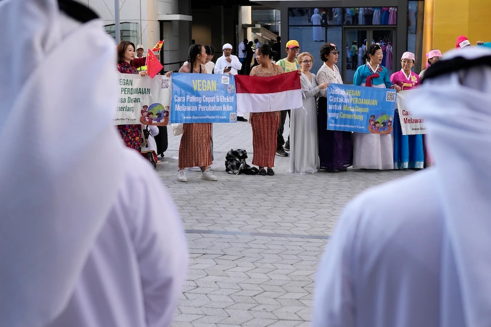 People demonstrate at the COP28 UN Climate Summit on Nov. 30, 2023 in Dubai. (AP)