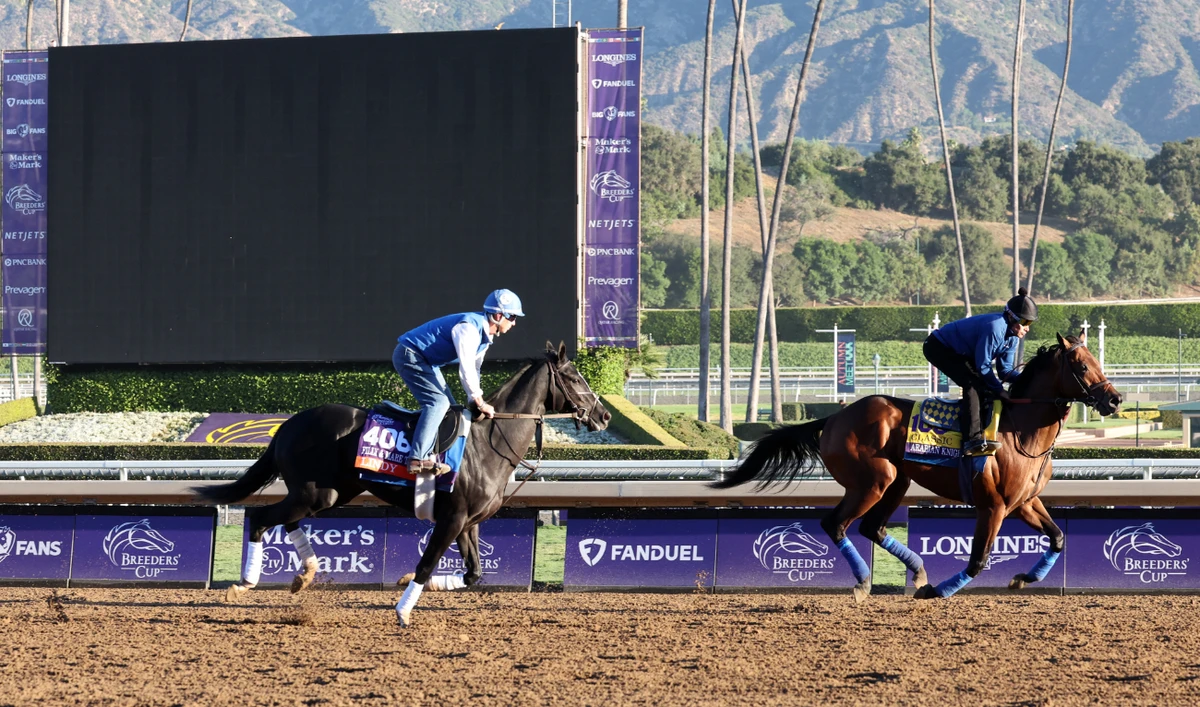 Lindy (406) and Arabian Knight (100) exercise during the Breeders' Cup morning workouts at Santa Anita Park on Thursday. (USA TODAY Sports)