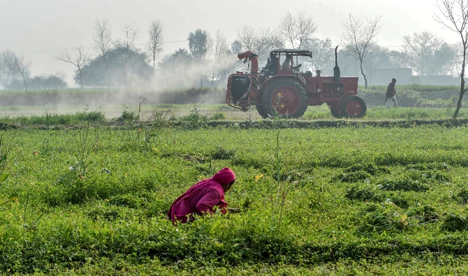 In this representational file photo, officials of the Agriculture Department on a tractor spray pesticides to kill locusts as a farmer works in a field in Pipli Pahar village in Pakistan's central Punjab province on February 23, 2020. (AFP/File)