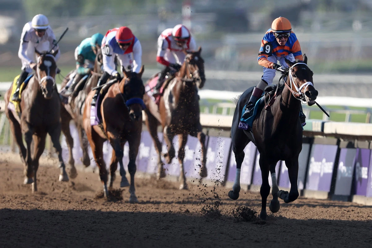 John Velazquez riding Fierceness wins the FanDuel Breeders' Cup Juvenile (Grade 1) at Santa Anita Park on Friday in Arcadia, California. (Getty Images/AFP)