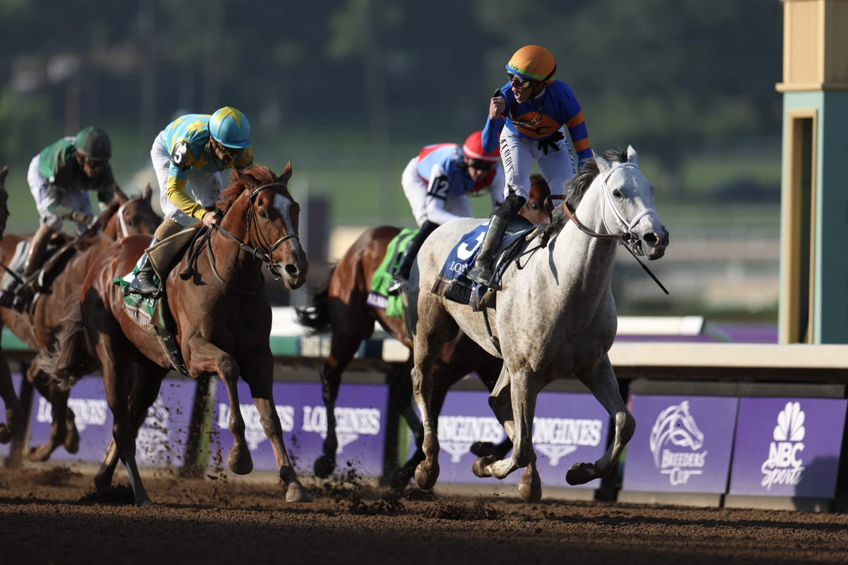 Jockey Irad Ortiz Jr. celebrates at the finish line, riding White Abarrio to victory during the Breeders' Cup Classic (Grade 1) at Santa Anita Park on Saturday in Arcadia, California. (Getty Images / AFP)