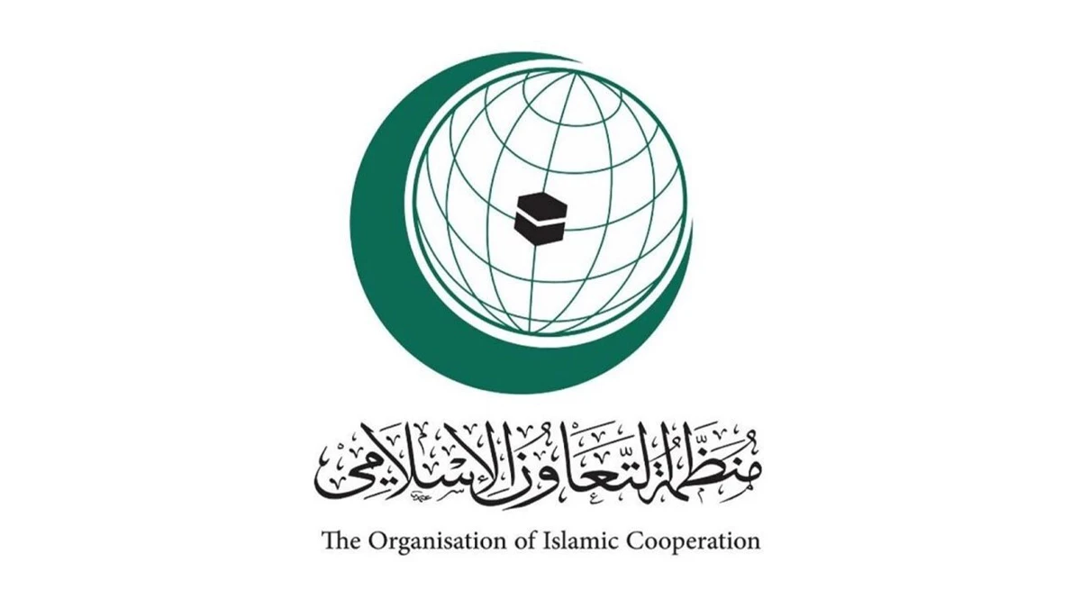 OIC to hold summit on Gaza in Riyadh next Sunday