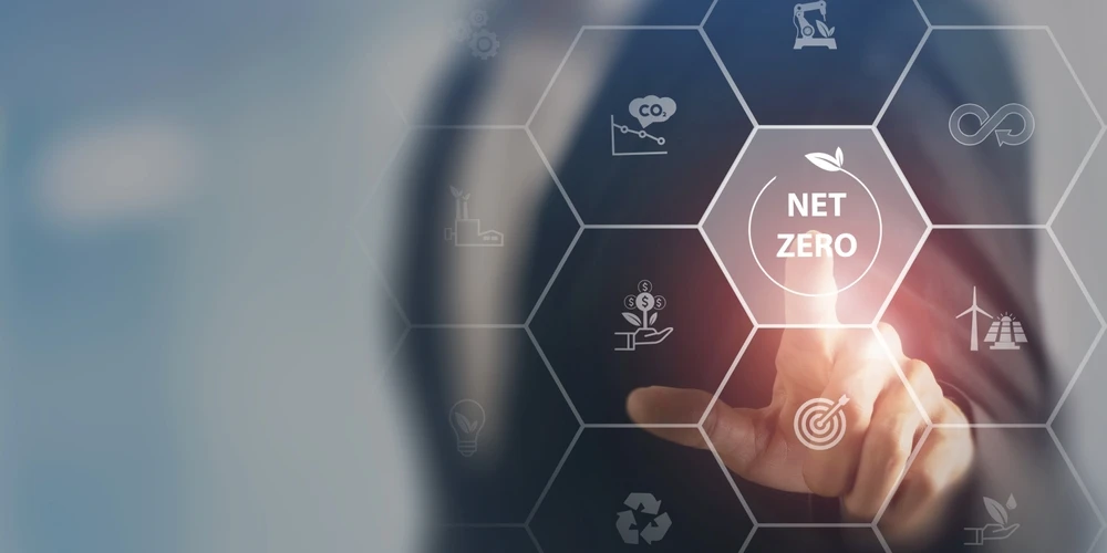 Net-zero corporate commitments on the rise but lacking credibility, says report