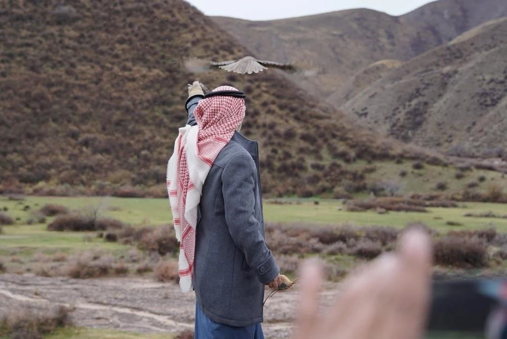 Saudi Falcons Club released several birds of prey in Kyrgyzstan’s mountains. (SPA)