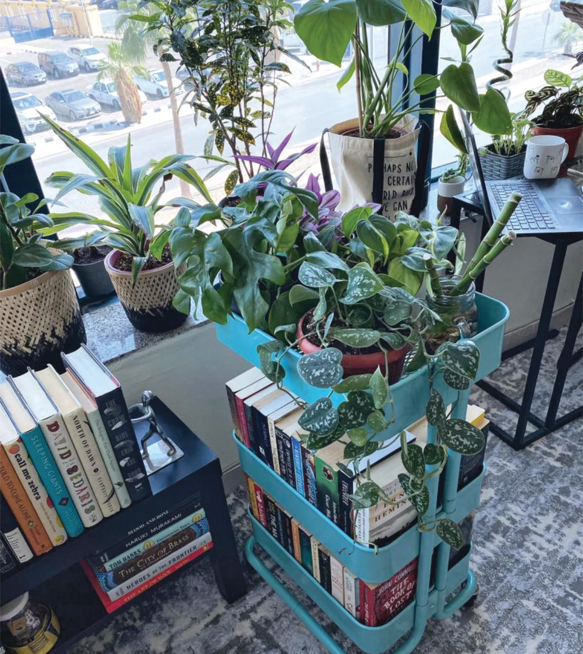 Setting up indoor gardens and plants as the weather cools off in Saudi Arabia is ideal for bringing nature’s touch into the home. (Instagram/theguywiththebook)