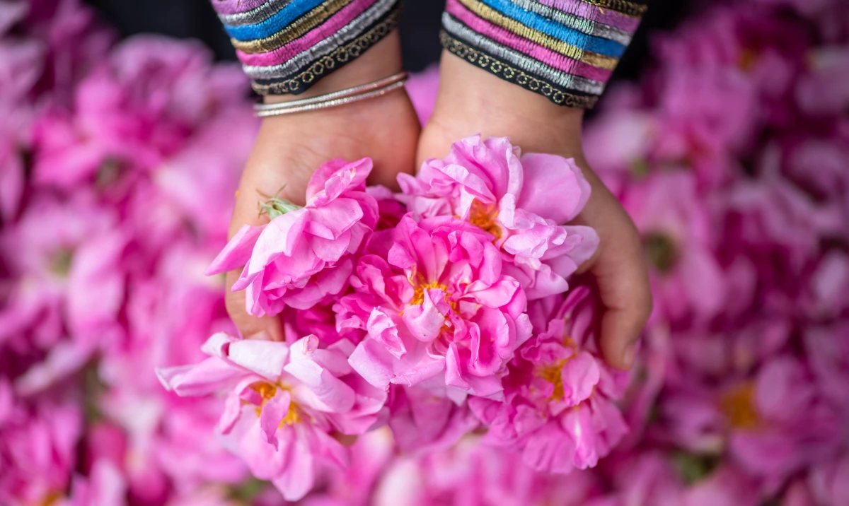 Supporting the traditional Saudi micro-industries