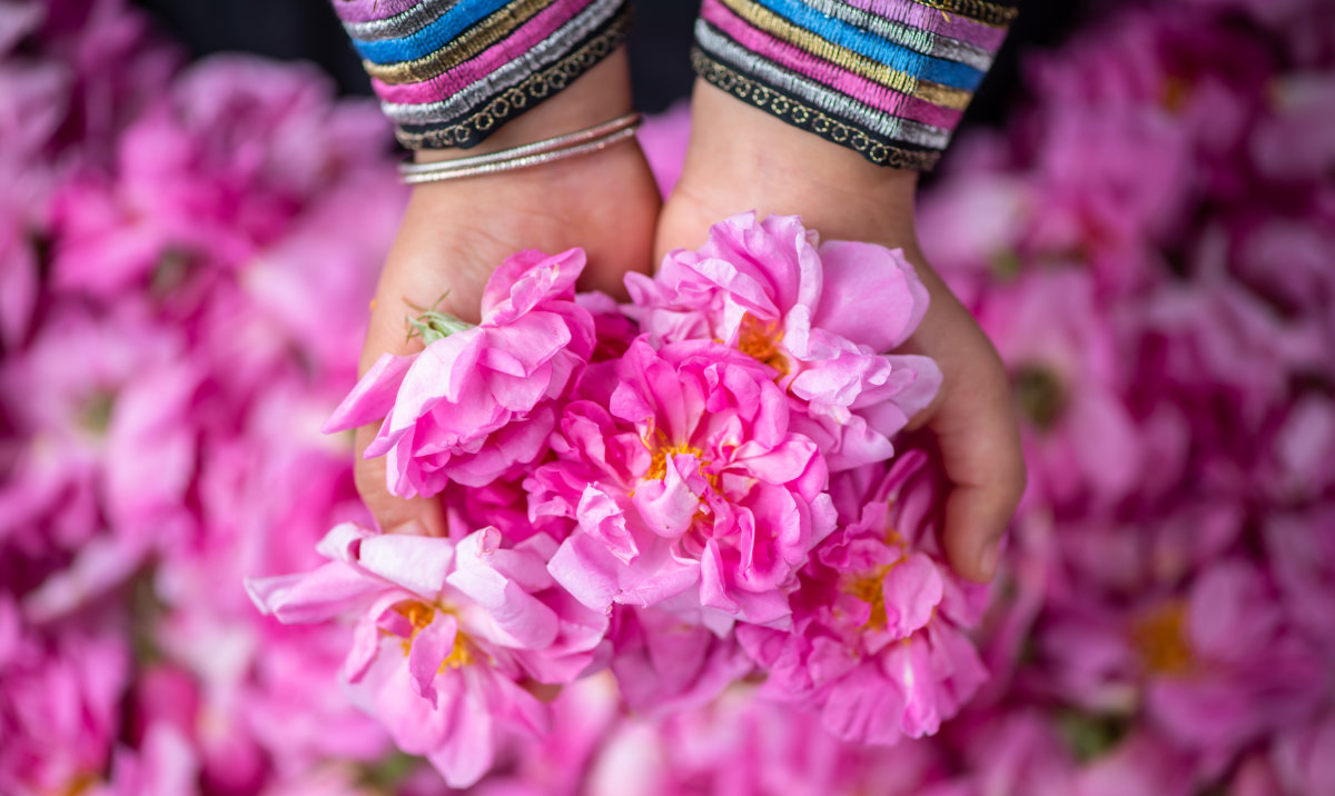 Supporting the traditional Saudi micro-industries