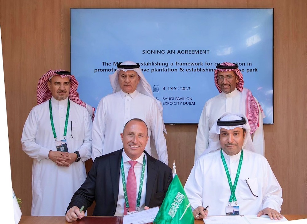 The plan falls in line with the mining company’s commitment to plant 10 million terrestrial trees and 10 million mangroves by 2040. (Ma’aden)