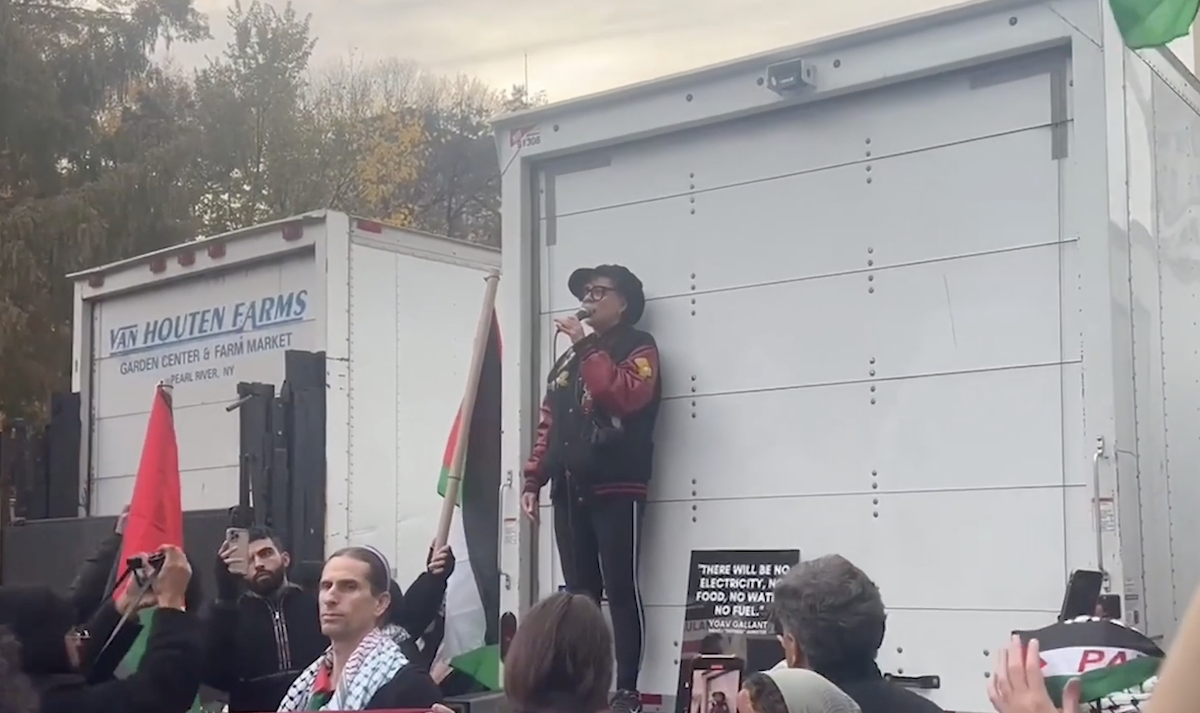 Sarandon has attended several pro-Palestinian rallies and stated that criticism of the State of Israel should not in itself be considered antisemitic. (Screeenshot)