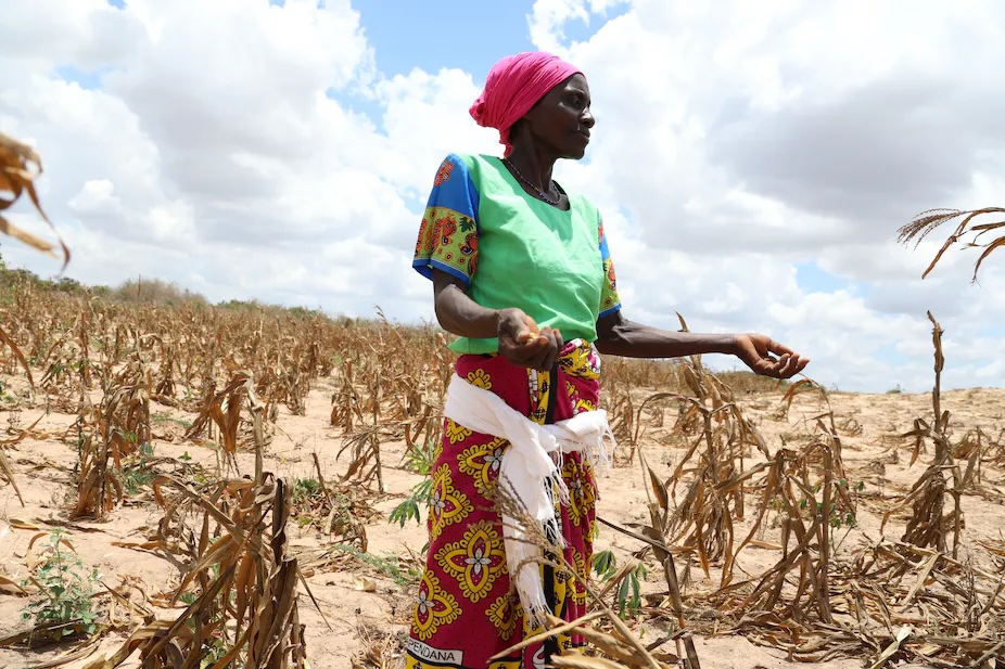 Rich nations, GCC urged to use SDRs to fund climate action in Africa
