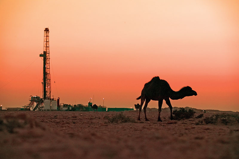 The Ministry of Petroleum and Mineral Resources revealed in a statement that it granted $61 million for drilling 87 new wells.