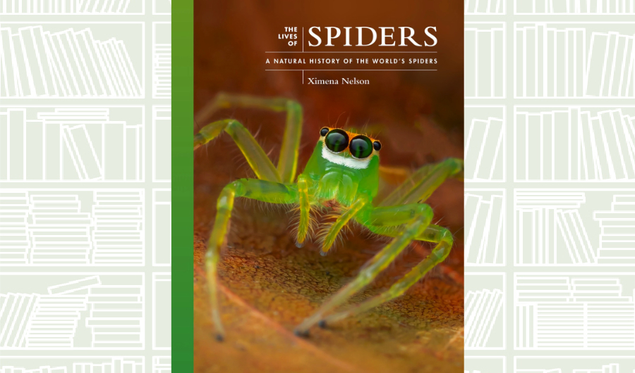 What We Are Reading Today: ‘The Lives of Spiders’ by Ximena Nelson