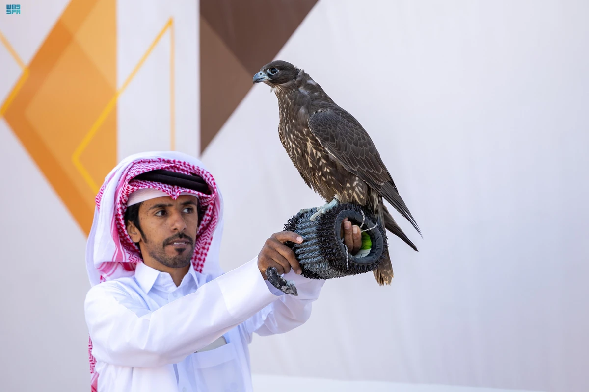 Professional falconers and falcon owners took part in four qualification rounds on Friday on the fourth day of the King Abdulaziz Falconry Festival. (SPA)