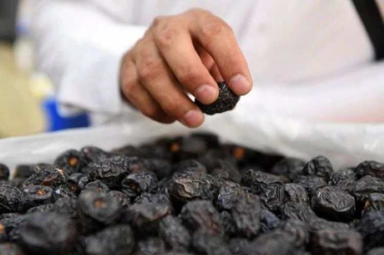 Thanks to their high nutritional value and health benefits, Ajwa dates are considered to be among the finest dates in the world. (SPA)