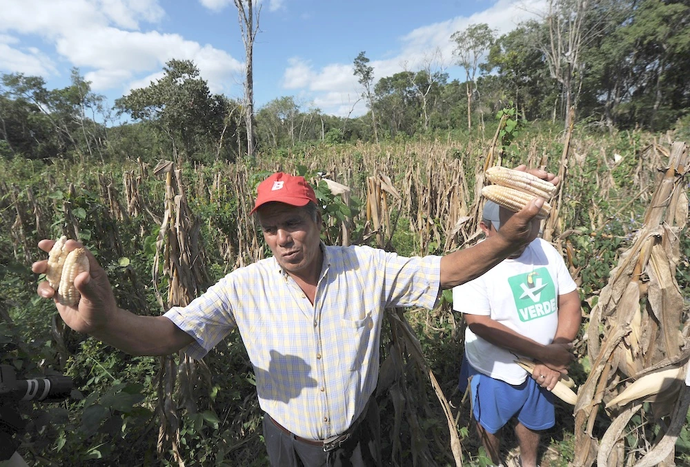 Over the last 30 years, an estimated $3.8 trillion worth of crops and livestock production have been lost due to climate. (AFP)