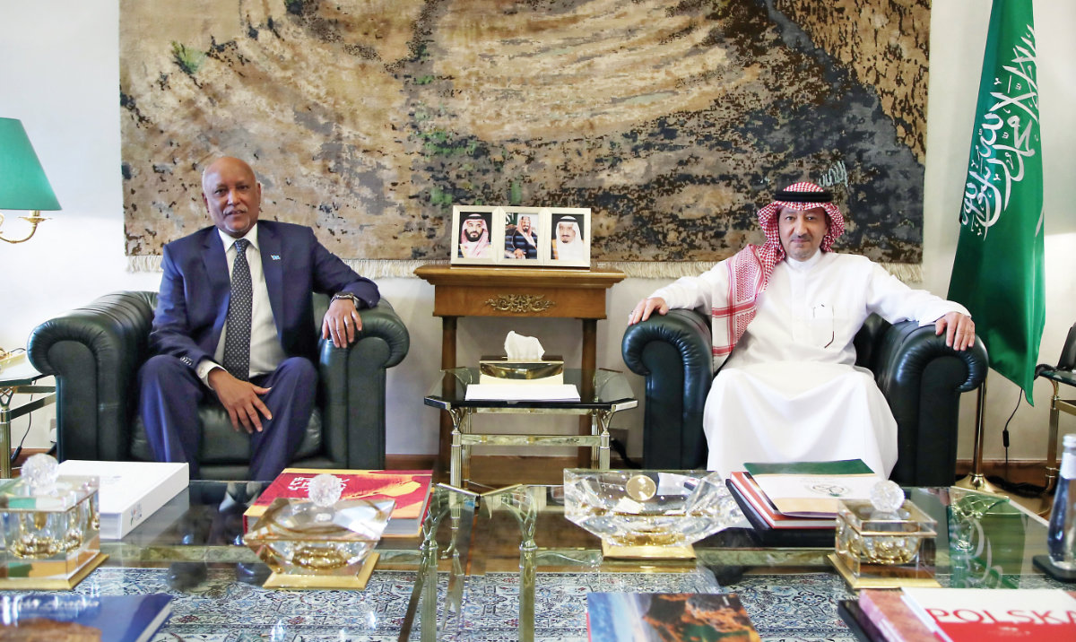 Saudi deputy minister receives Somali ambassador to Riyadh