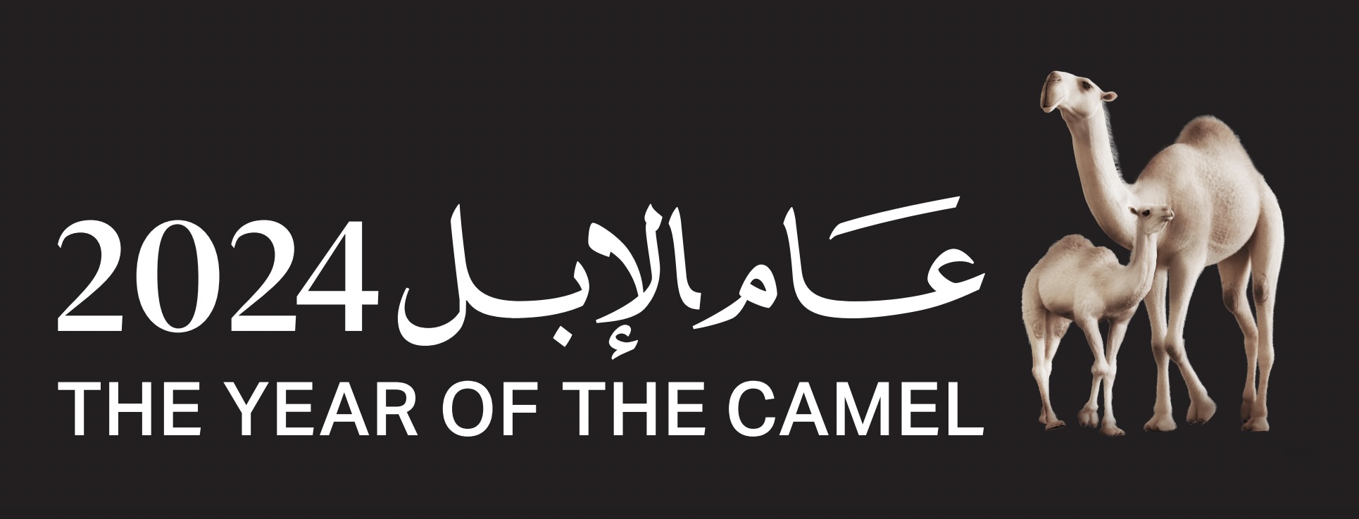 Saudi Culture Ministry reveals ‘Year of the Camel’ brand identity