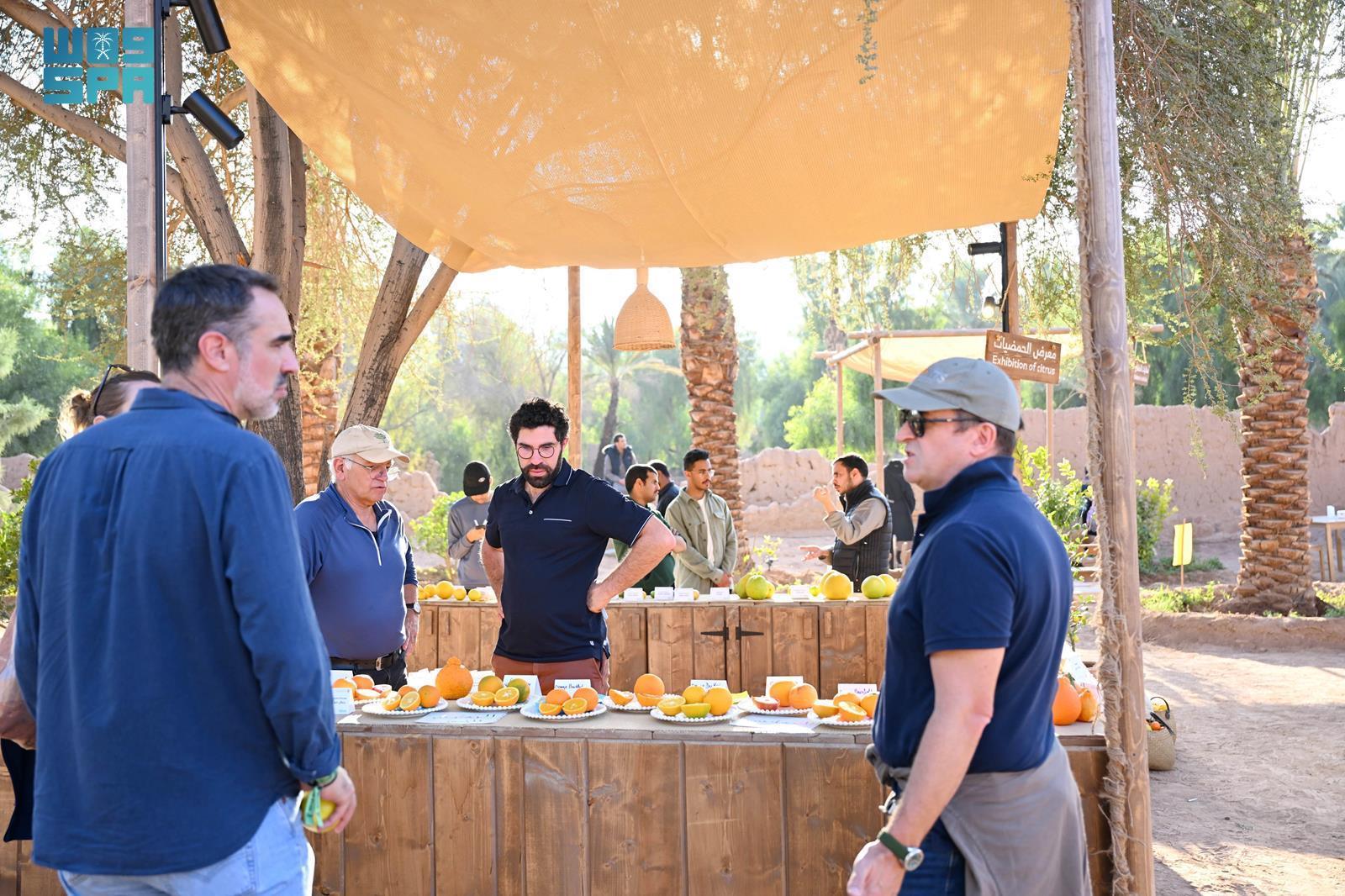 The Royal Commission for AlUla launched the third AlUla Citrus Festival on Friday. This event takes place during the harvest season and showcases various types of citrus fruit grown in AlUla farms. (SPA)