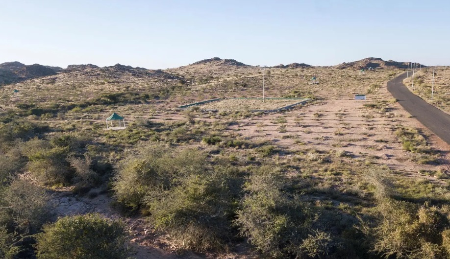 Saudi Arabia is developing many projects all around the country as part of its green initiatives. (SPA)