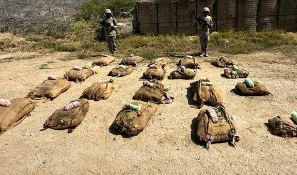 Legal procedures have been completed. (Saudi border guards)