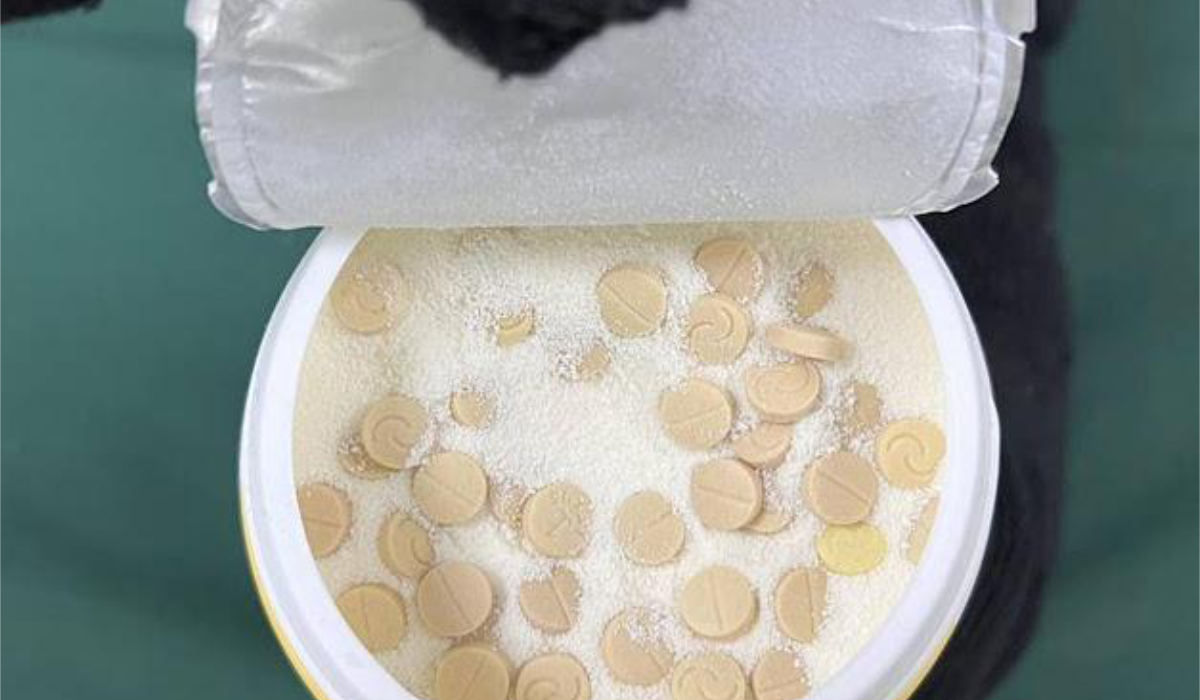 Saudi police have arrested individual carrying prohibited drugs. (SPA)