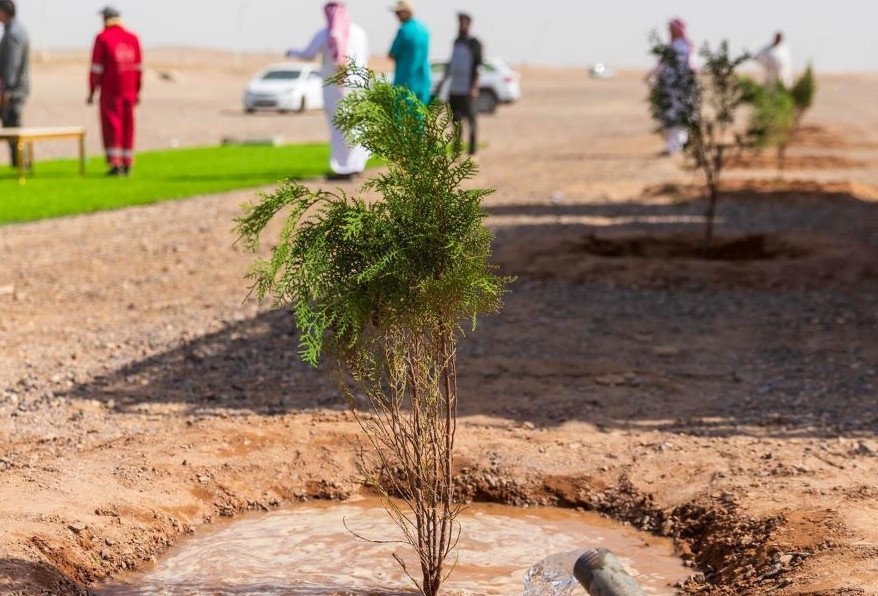 National Water Co. has planted more than 1 million trees across the Madinah region. (SPA)