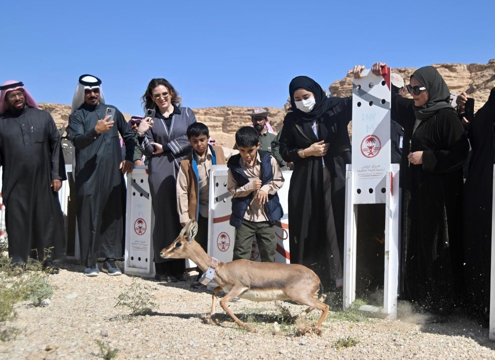 National Center for Wildlife releases 34 animals into the Ibex Reserve