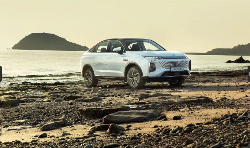 Traits like the two-tone glossy black roof, matte gold bumper accents, chrome dual exhaust pipes, and silver decoration add to the visual appeal of the SUV Coupe.