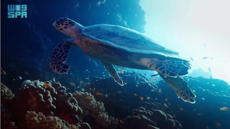 Konoz, an initiative of the Saudi Ministry of Media’s Center for Government Communication, has released a new documentary “Horizon,” on Netflix, in collaboration with the National Center for Wildlife. (SPA)