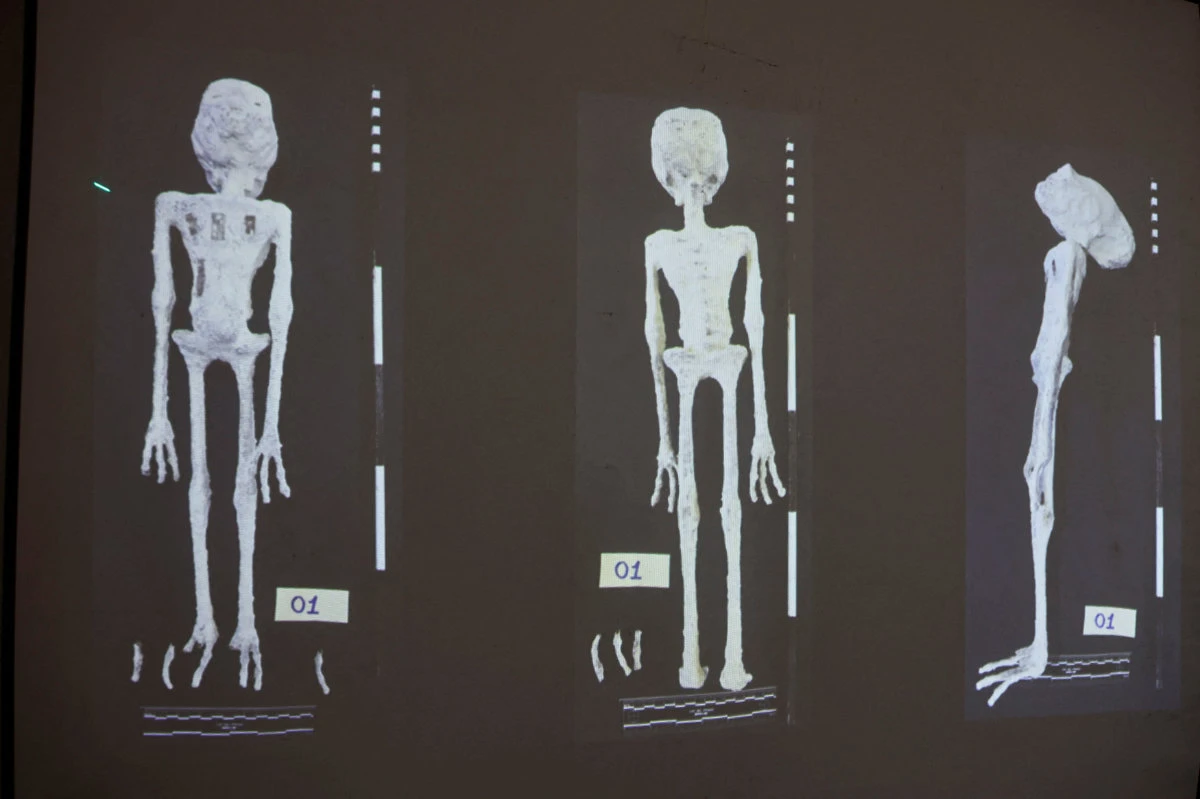 AN investigation carried out by the Institute of Legal Medicine of Peru on the 'alien mummies' concluded that they are dolls made with animal bones. (REUTERS)