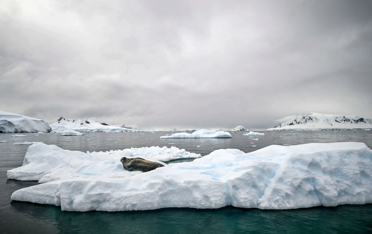 View of an iceberg at the Gerlache Strait, which separates the Palmer Archipelago from the Antarctic Peninsula, in Antarctica on January 19, 2024. (AFP)
