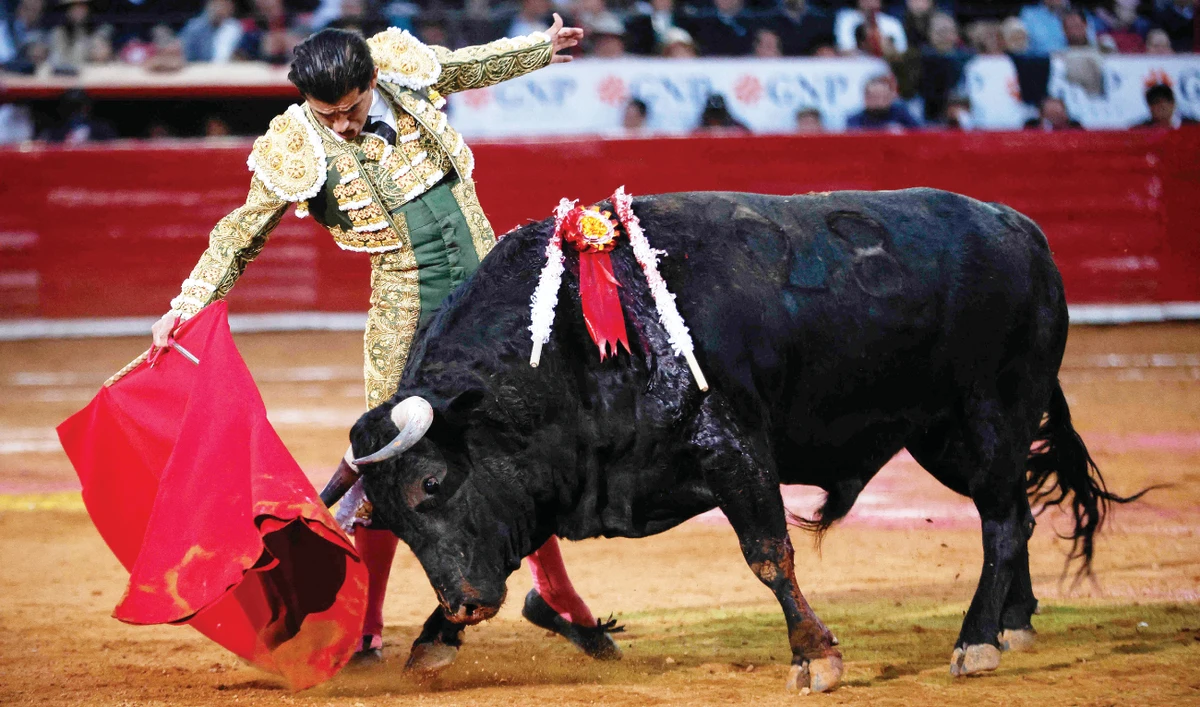 Mexican bullfighter Joselito Adame performs during a bullfight event at the Monumental Plaza de Toros Mexico in Mexico City on Sunday. (AFP)