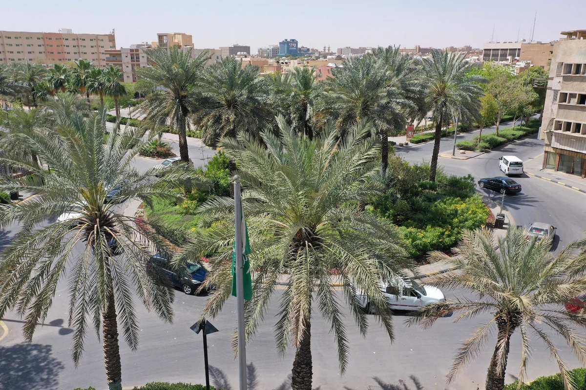 Key aspects of Vision 2030 focus on climate, including the Saudi Green Initiative, Green Riyadh, and King Salman Park. (File/AFP