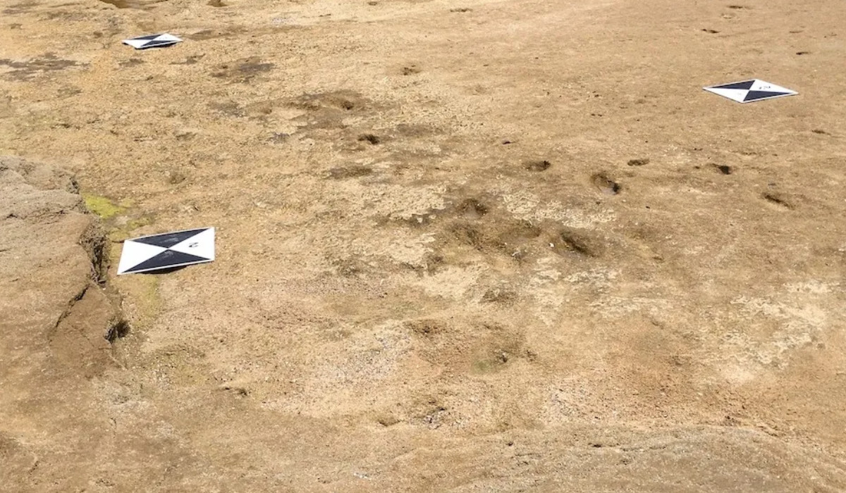 Human footprints 100,000 years old found in Morocco