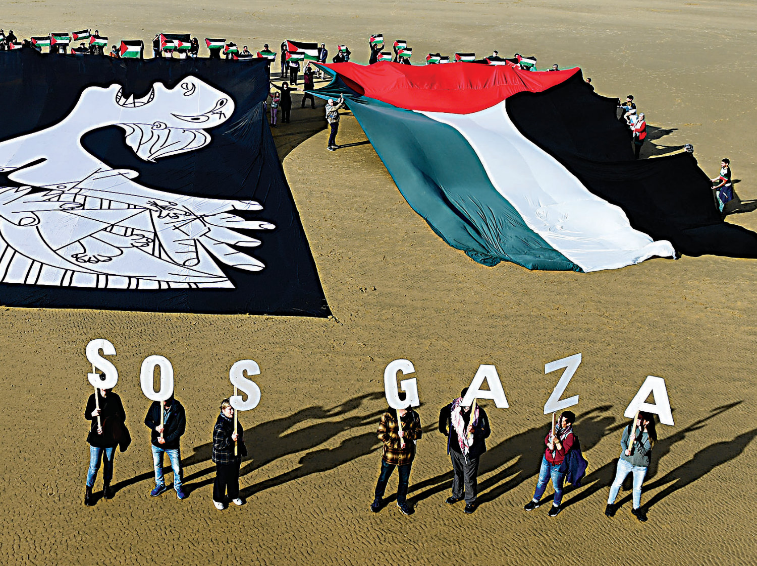 How pro-Palestine digital activists in Latin America are offering an uncensored view on Gaza