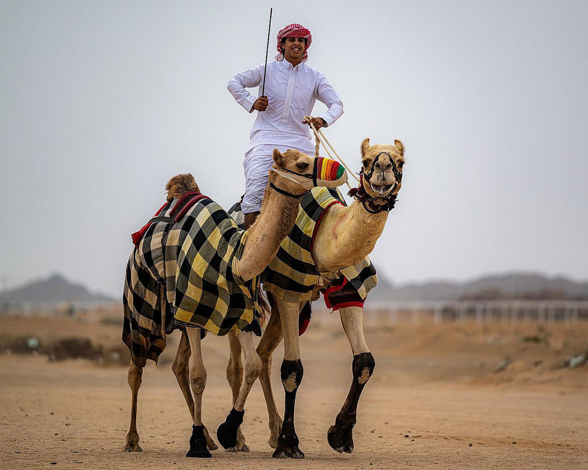 Seventeen-year-old Theyab bin Hamdan Al-Howaiti has competed in around 80 races, including the Al-Wajh Camel Race. (SPA)