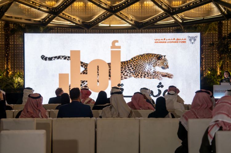 The Arabian Leopard Fund has announced a scholarship program to train and upskill the next generation of conservationists to safeguard endangered big cat species. (Supplied)